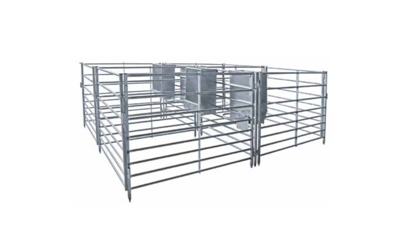 Módulo 4 Jaulas Parideras, con comederos y arillos